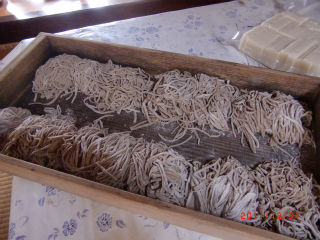 �N�z������