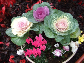 �����Ȋ񂹐A��