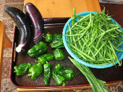 �Ȃ��@�C���Q���@�s�[�}���̎ʐ^